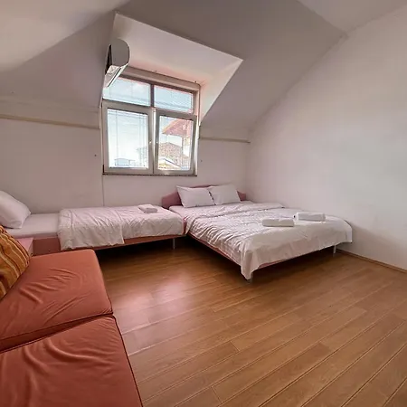 Kiwi In The Heart Of Apartment